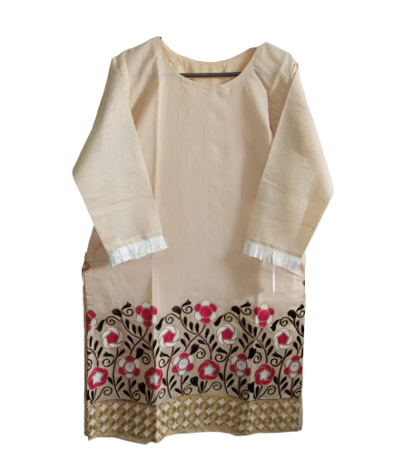 Gilgit Embroidery Shirts For Women